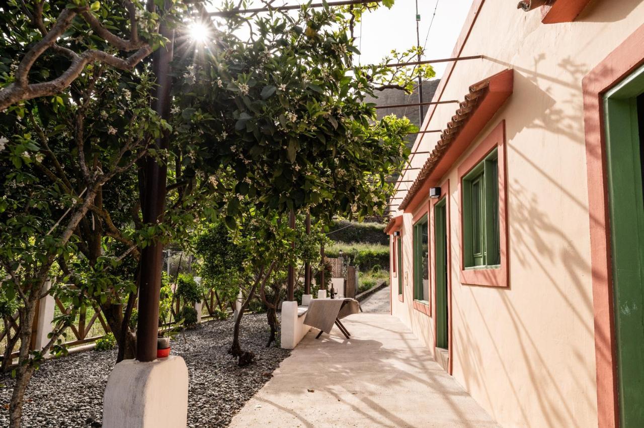 Casa Rural Bejeque Teror Exterior foto
